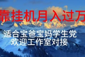 (10714期)每天躺着日入几百挂机项目,适合宝爸宝妈学生党工作室对接