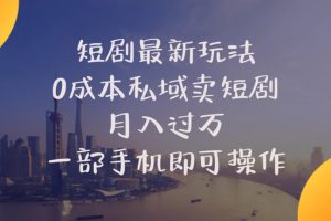 (10716期)短剧最新玩法 0成本私域卖短剧 月入过万 一部手机即可操作