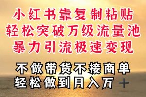 (11139期)深层揭秘小红书,靠复制粘贴,一周突破万级流量池,无脑搬运,暴力引流…