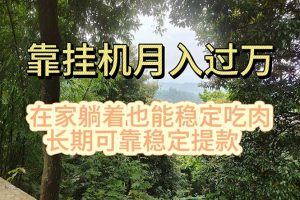 (11144期)挂机掘金,日入1000+,躺着也能吃肉,适合宝爸宝妈学生党工作室,电脑…