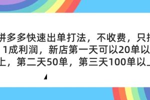 (11681期)拼多多2天起店,只合作不卖课不收费,上架产品无偿对接,只需要你回…