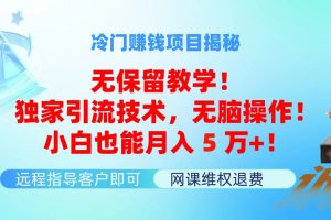 (11864期)冷门赚钱项目无保留教学!独家引流技术,无脑操作!小白也能月入5万+!