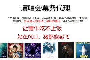 (12011期)2024演唱会低票务代理,新手可上手,手把手教你卖票,日入2000+,会玩…