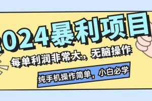 (12130期)2024暴利项目,每单利润非常大,无脑操作,纯手机操作简单,小白必学项目