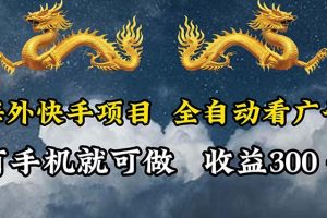 (12175期)海外快手项目,利用工具全自动看广告,每天轻松 300+