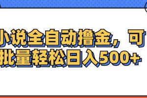 (12244期)小说全自动撸金,可批量日入500+