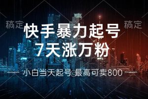 (13142期)快手暴力起号,7天涨万粉,小白当天起号 多种变现方式,账号回收,单月…