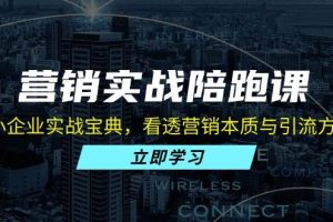 (13146期)营销实战陪跑课:中小企业实战宝典,看透营销本质与引流方法论