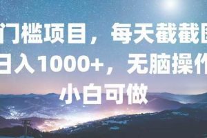 (13160期)0门槛项目,每天截截图,日入1000+,轻松无脑,小白可做