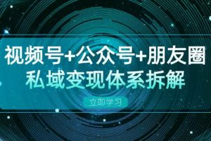 (13174期)视频号+公众号+朋友圈私域变现体系拆解,全体平台流量枯竭下的应对策略
