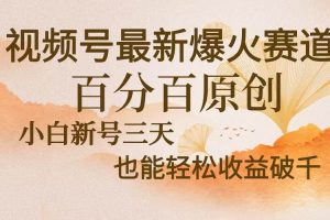 (13225期)视频号最新爆火赛道,中老年粉深信不疑,百分百原创,新号三天收益轻松…