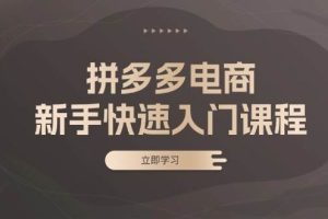 (13289期)拼多多电商新手快速入门课程:涵盖基础、实战与选款,助力小白轻松上手