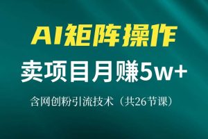 (13335期)网创IP打造课,借助AI卖项目月赚5万+,含引流技术(共26节课)