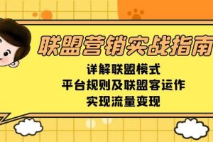 (13735期)联盟营销实战指南,详解联盟模式、平台规则及联盟客运作,实现流量变现