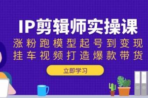 (13980期)IP剪辑师实操课:涨粉跑模型起号到变现,挂车视频打造爆款带货