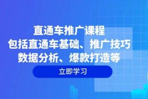 (14001期)直通车推广课程:包括直通车基础、推广技巧、数据分析、爆款打造等
