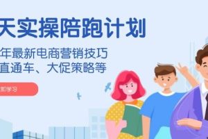 (14008期)淘天实操陪跑计划,2024年最新电商营销技巧,包括直通车、大促策略等