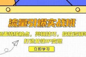 (14008期)流量引爆实战班,涵盖情绪触点,剪辑技巧,投放逻辑等,打造女性IP变现