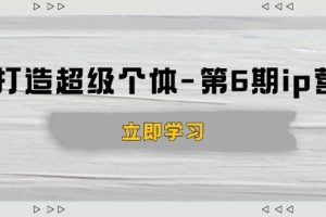 (14014期)打造 超级个体-第6期ip营:商业认知,产品设计,成交演练,解决知识变现难题