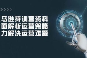 (14033期)亚马逊持训营资料,全面解析运营策略,助力解决运营难题