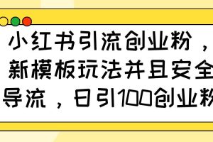 (14053期)小红书引流创业粉,新模板玩法并且安全导流,日引100创业粉