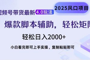 (14071期)视频号带货最新4.0玩法,作品制作简单,当天起号,复制粘贴,轻松矩阵…