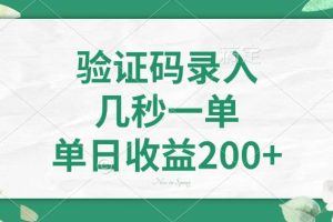 （14221期）验证码录入，几秒一单，单日收益200+