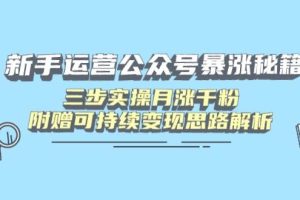 (14111期)新手运营公众号暴涨秘籍,三步实操月涨千粉,附赠可持续变现思路解析