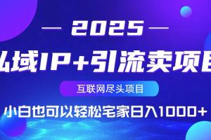 (14151期)私域IP+引流卖项目,小白也可以做到轻松宅家日入1000+