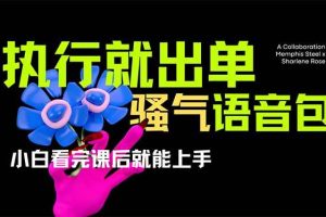 (14170期)爆火全网的开车导航骚气语音包,只要执行就出单,小白看完课程就能实操…