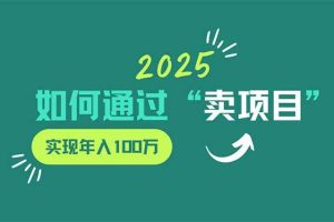 (14176期)2025年如何通过“卖项目”实现年入100万