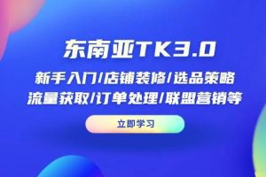 (14208期)东南亚TK3.0:新手入门/店铺装修/选品策略/流量获取/订单处理/联盟营销等
