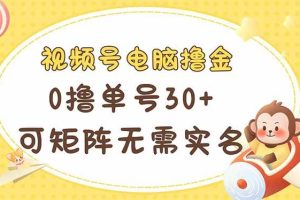 (14220期)视频号电脑撸金 0撸单号30+ 可矩阵 无需实名多号多得