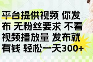 (14224期)发布平台提供视频就有钱 无粉丝要求 不看视频播放量 发布就有钱 一天300+