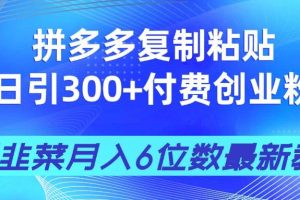 (14232期)拼多多复制粘贴日引300+付费创业粉,割韭菜月入6位数最新教程!