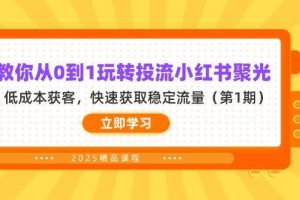 (14260期)教你从0到1玩转投流小红书聚光,低成本获客,快速获取稳定流量(第1期)