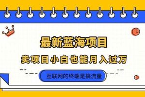 (14289期)2025年最新蓝海项目,卖项目小白也能月入过万