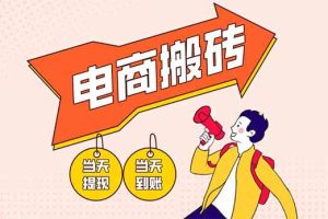 (14310期)电商搬砖项目,单机日收益300+,非常暴力,小白上手就会