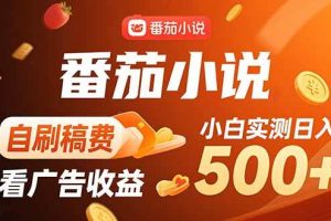 (15641期)稳定3年官方番茄小说自刷稿费小白单日500+