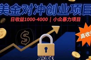 (15642期)美金对冲创业项目,日收益1000-4000,小众暴力项目