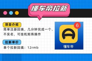 (15661期)懂车帝邪修拉新玩法,简单注册回填,不sm,单个拉新12rmb,轻松日入200+