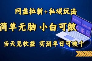(15744期)网盘拉新+私域玩法,简单无脑,小白可做,当天见收益,实测单日可破千