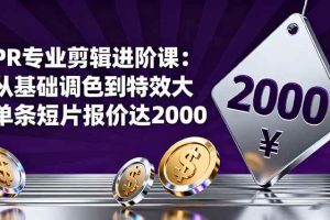 （16381期）PR专业剪辑进阶课：从基础调色到特效大片的进阶技能，单条短片报价达2000