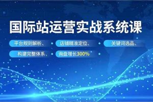 (16751期)国际站运营实战系统课,平台规则解析、店铺精准定位、关键词选品,构建完整体系询盘增长300%